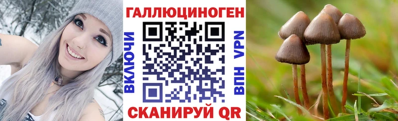 Псилоцибиновые грибы Magic Shrooms  Павлово 